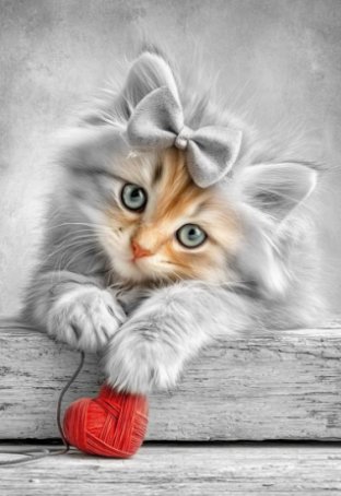 Zwartwit met een kl…