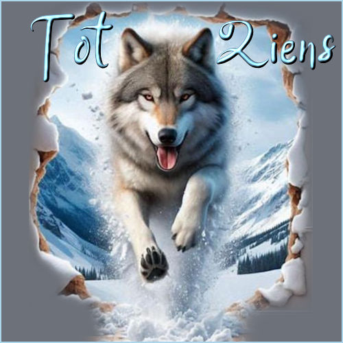 2026-01-Loes3-TotZi…